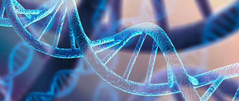 ADN genes